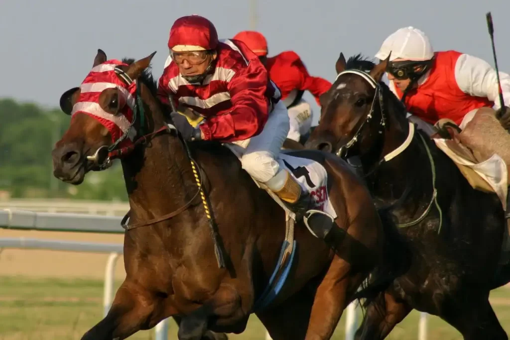 How to bet effectively on horse racing