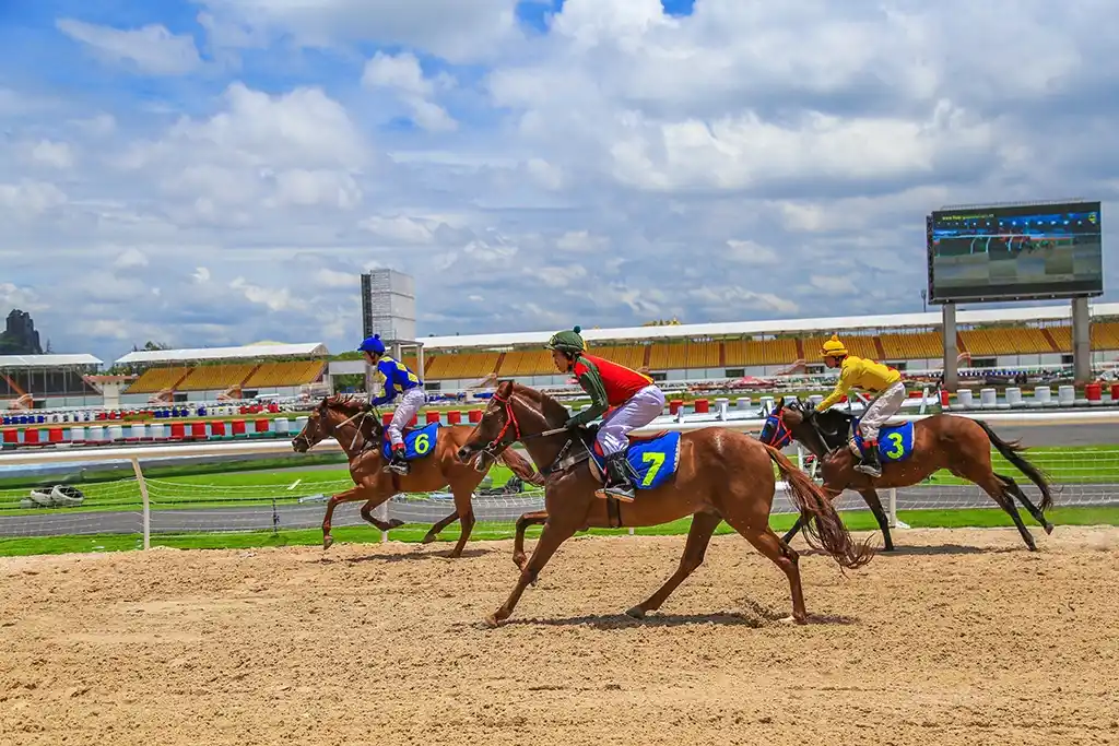 Horse racing betting at Jil7