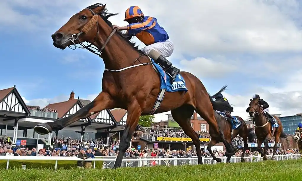 Where is reputable horse racing betting in Jili7?